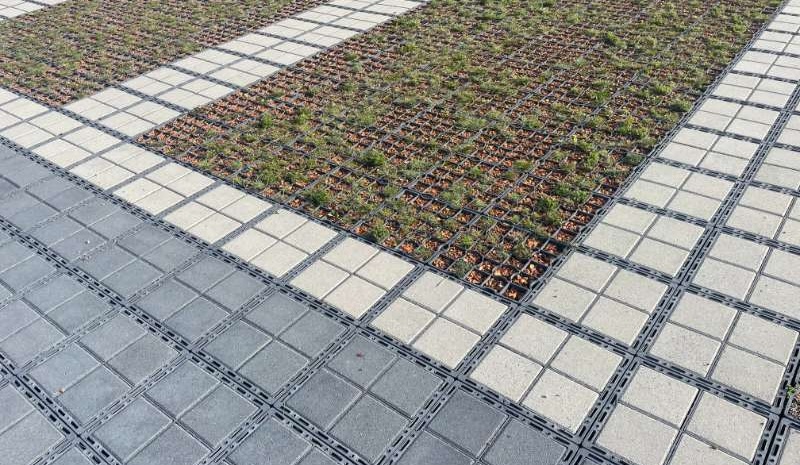Ecoraster - Suelos Optimos Costa Rica